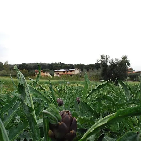 Val Di Nappo