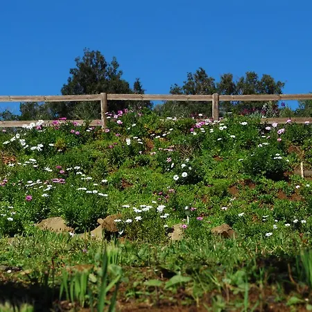 Farm stay Val Di Nappo Castiglione della Pescaia