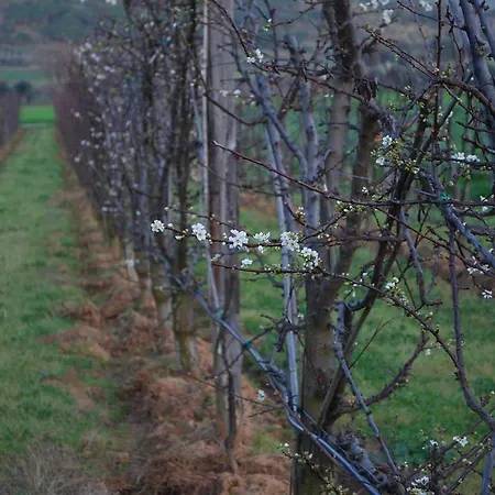 Gospodarstwo agroturystyczne Val Di Nappo Castiglione della Pescaia