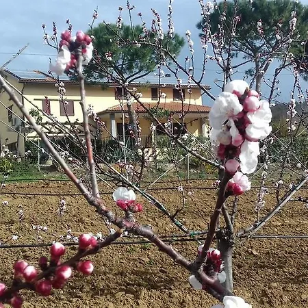 Val Di Nappo Farm stay *