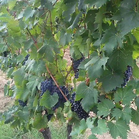 Val Di Nappo Gospodarstwo agroturystyczne *